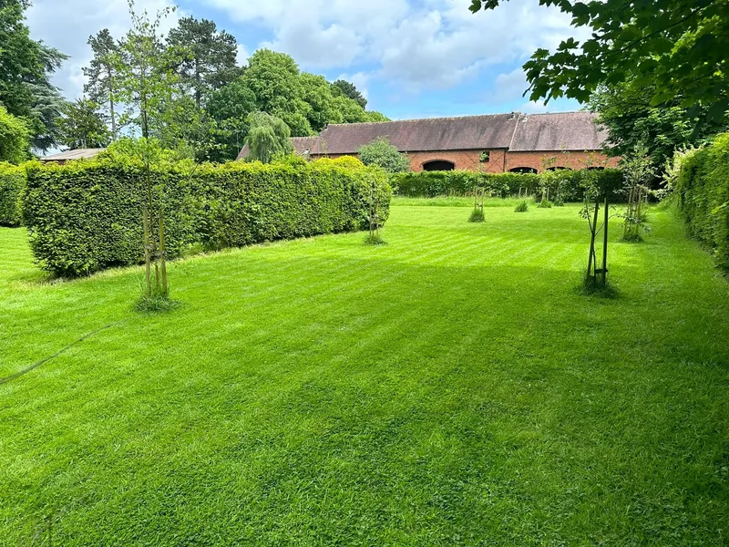 A green garden lawn winding between hedges and young trees