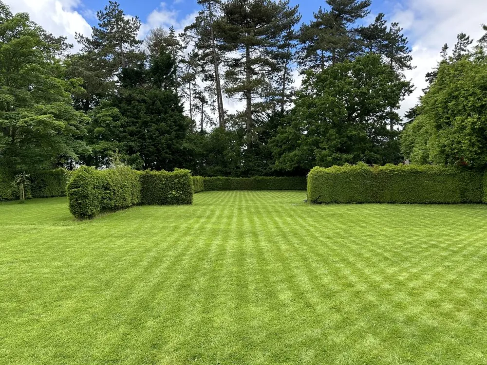 Separate lawn spaces divided by hedges, with an opening between them